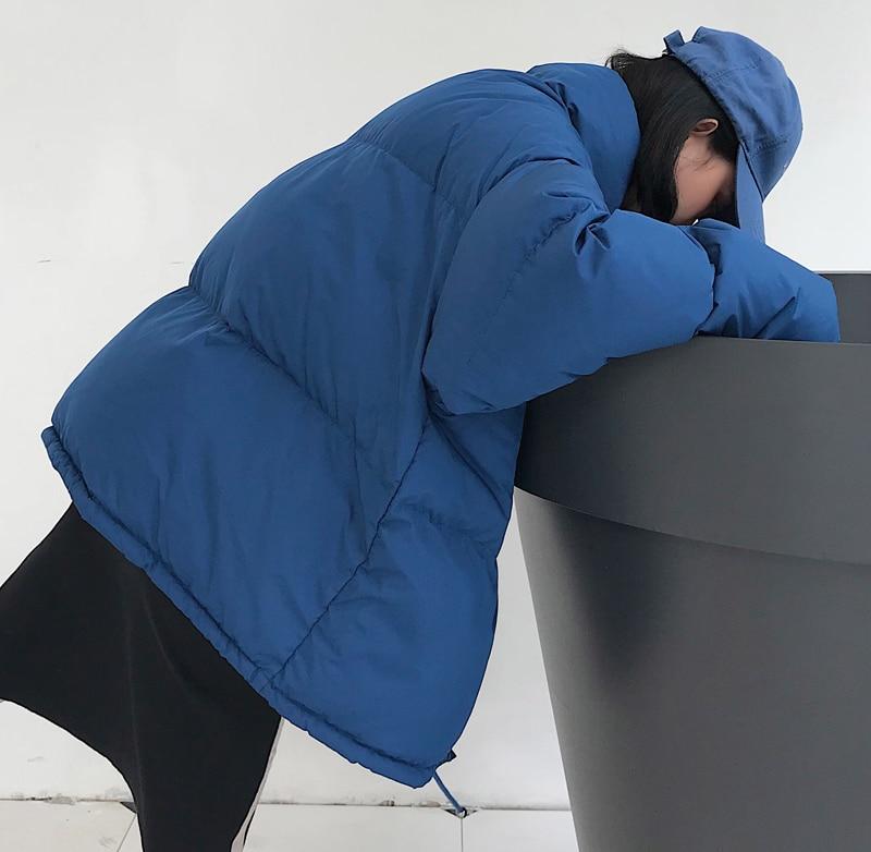 Comforter Puffer Jacket