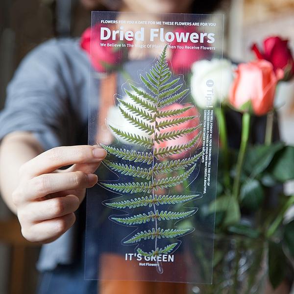 Dried Flowers Stickers