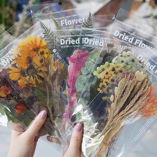 Dried Flowers Stickers