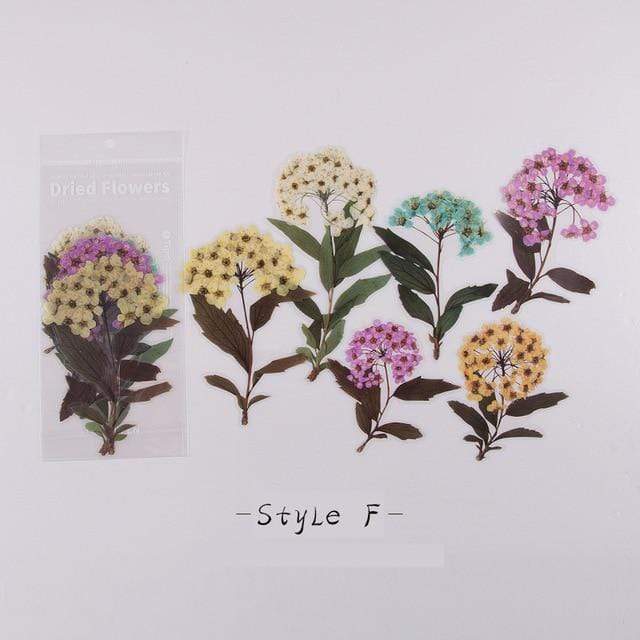 Dried Flowers Stickers