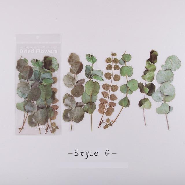 Dried Flowers Stickers