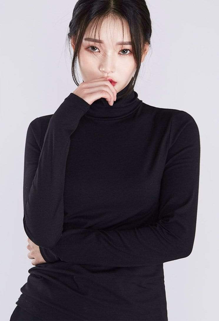 Gorgeous Turtle Neck Top