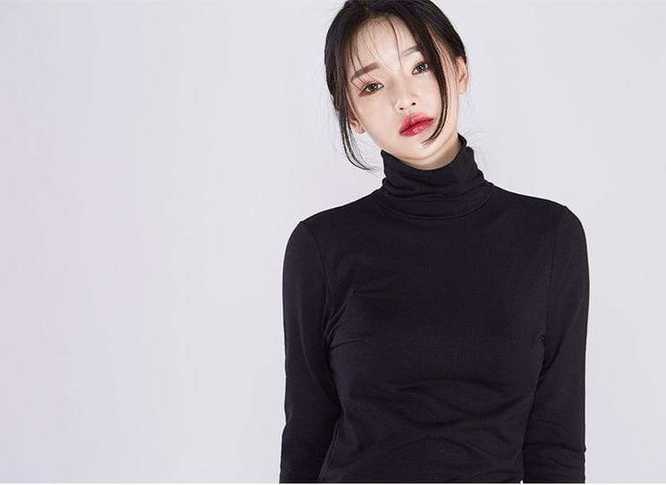 Gorgeous Turtle Neck Top