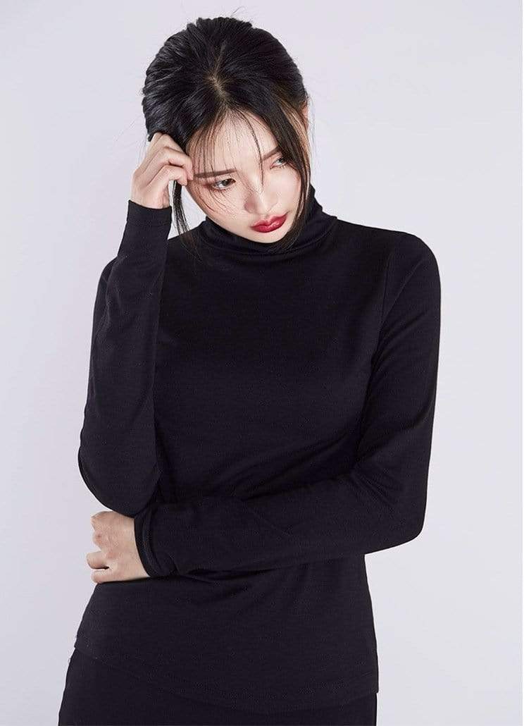 Gorgeous Turtle Neck Top