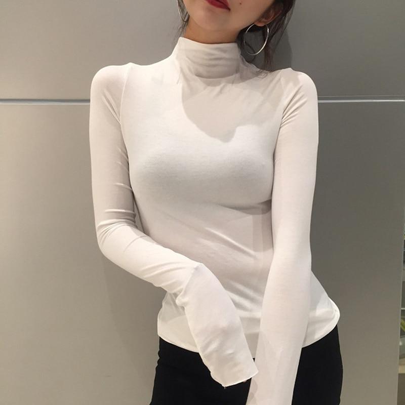 Gorgeous Turtle Neck Top