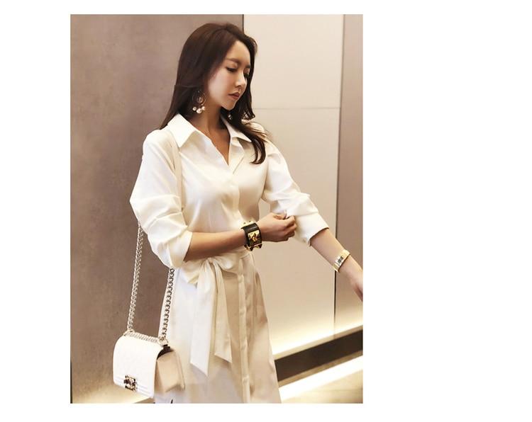 Teagan Shirt Dress